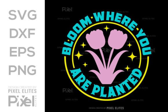 Bloom Where You Are Planted Graphics for T-Shirt Designs